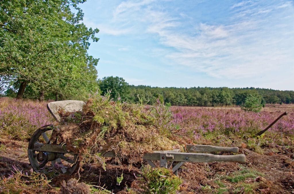 Alte Schubkarre Lüneburger Heide - Bild von Makalu auf Pixabay